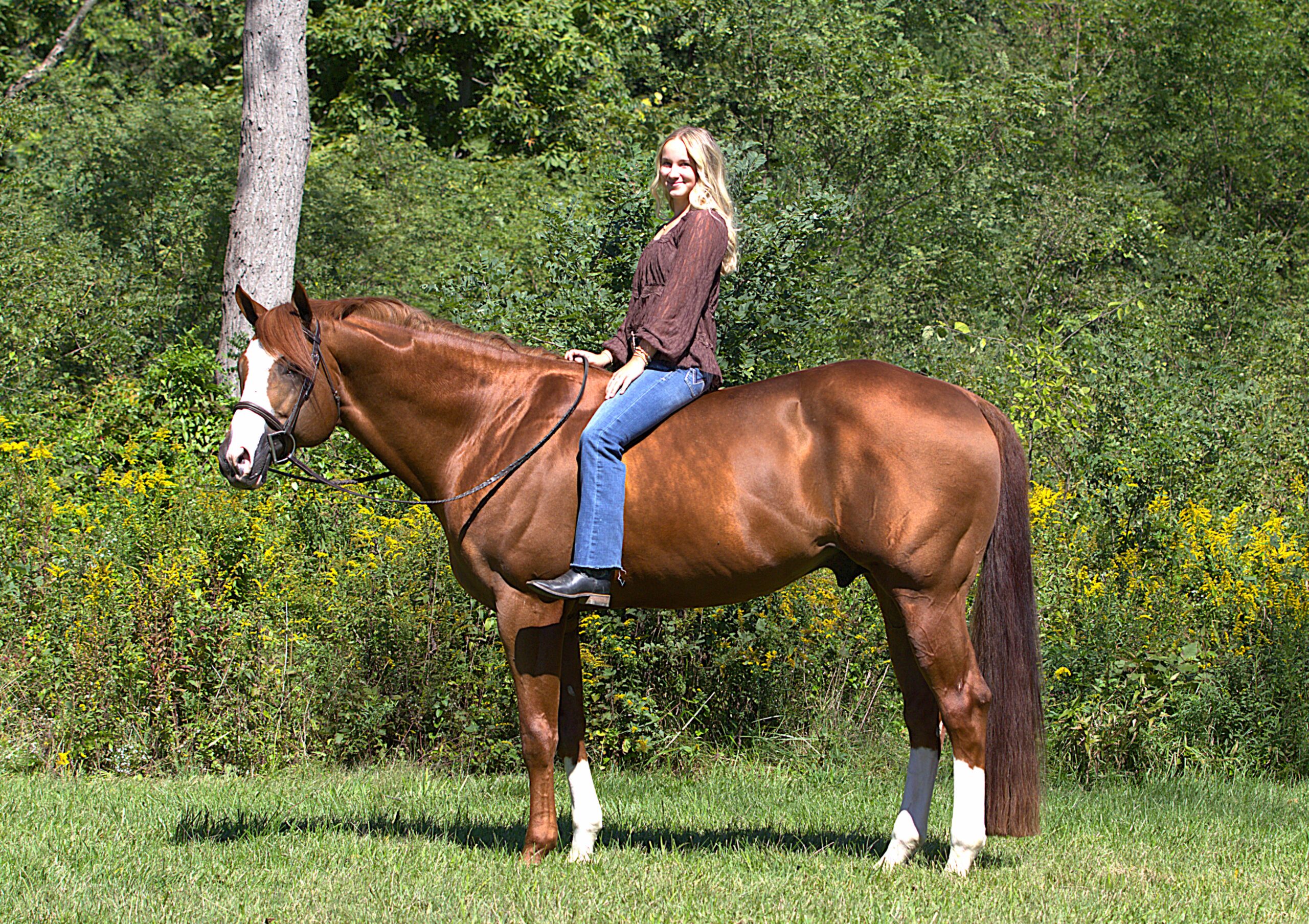 ER7